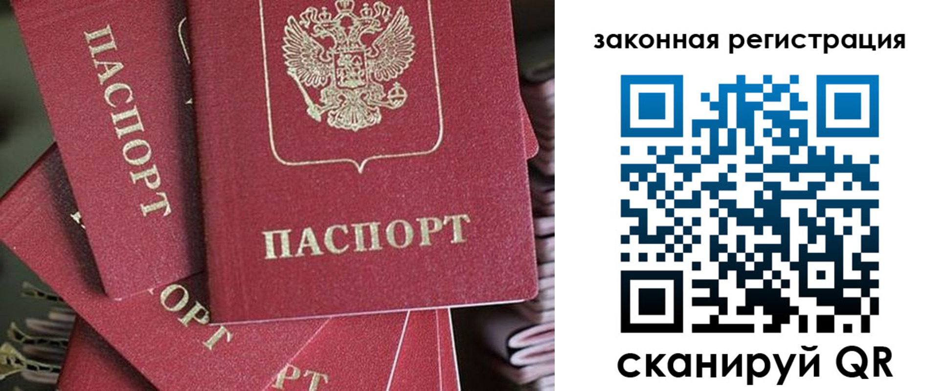 прописка иностранных граждан в Мурманской области